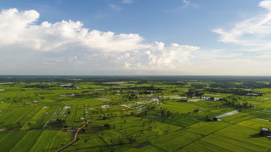 Puravankara Plots Chikkajala